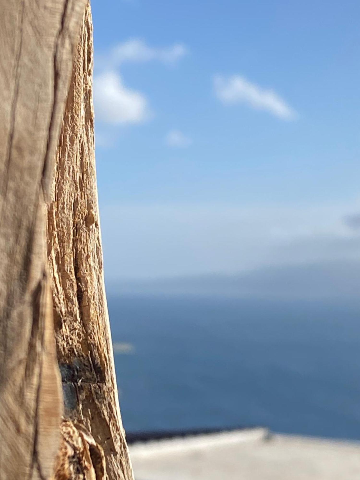 B&B Domos Mi & Ro Castelsardo Εξωτερικό φωτογραφία